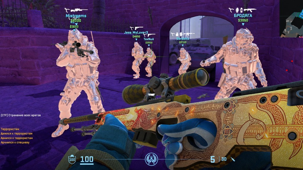 Counter-Strike 2 wallhack showing enemy player models, names, weapons and cash through a stone archway